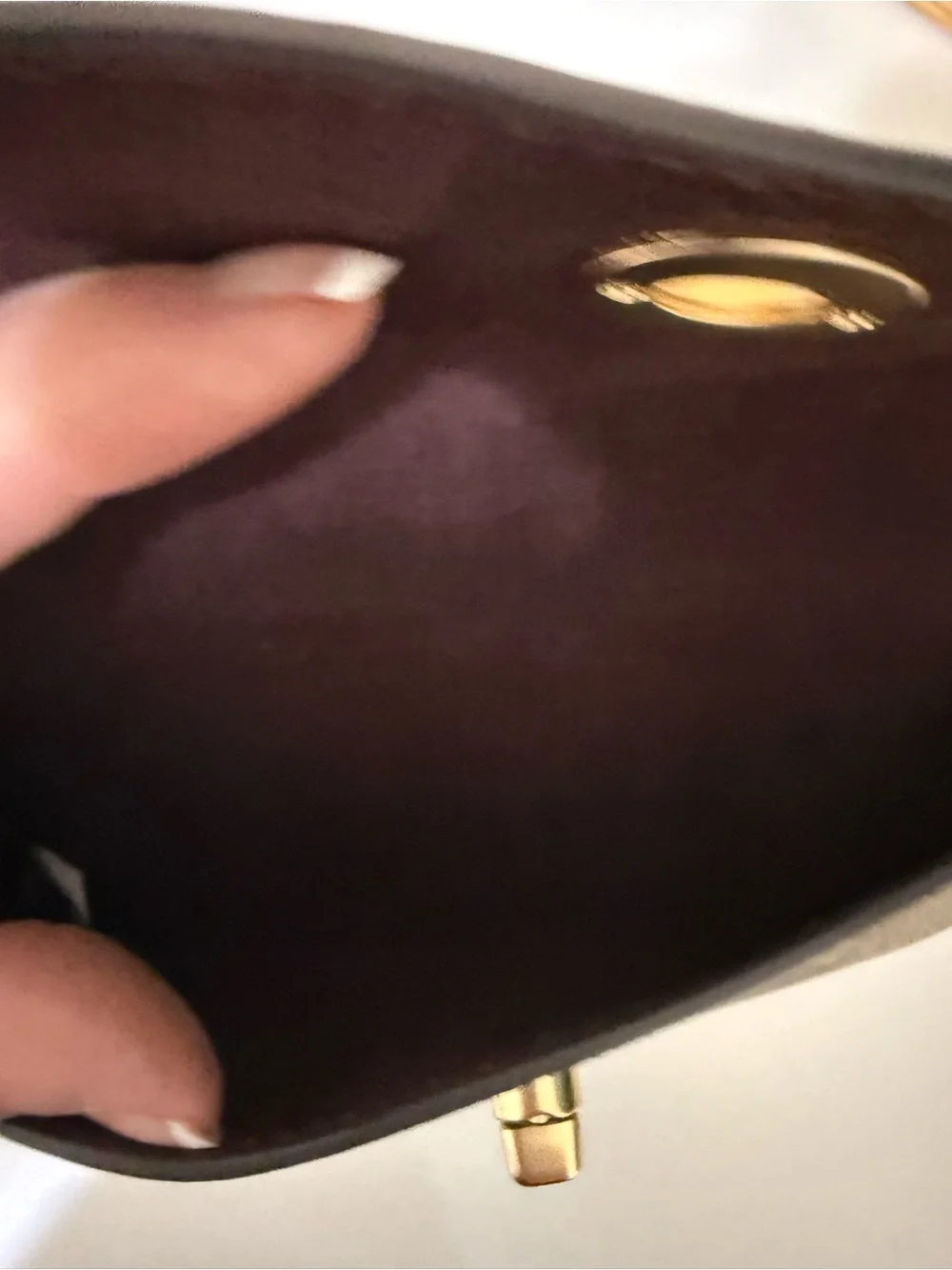 Coach Signature Canvas Turnlock Eye/Sun glass Case In Brown